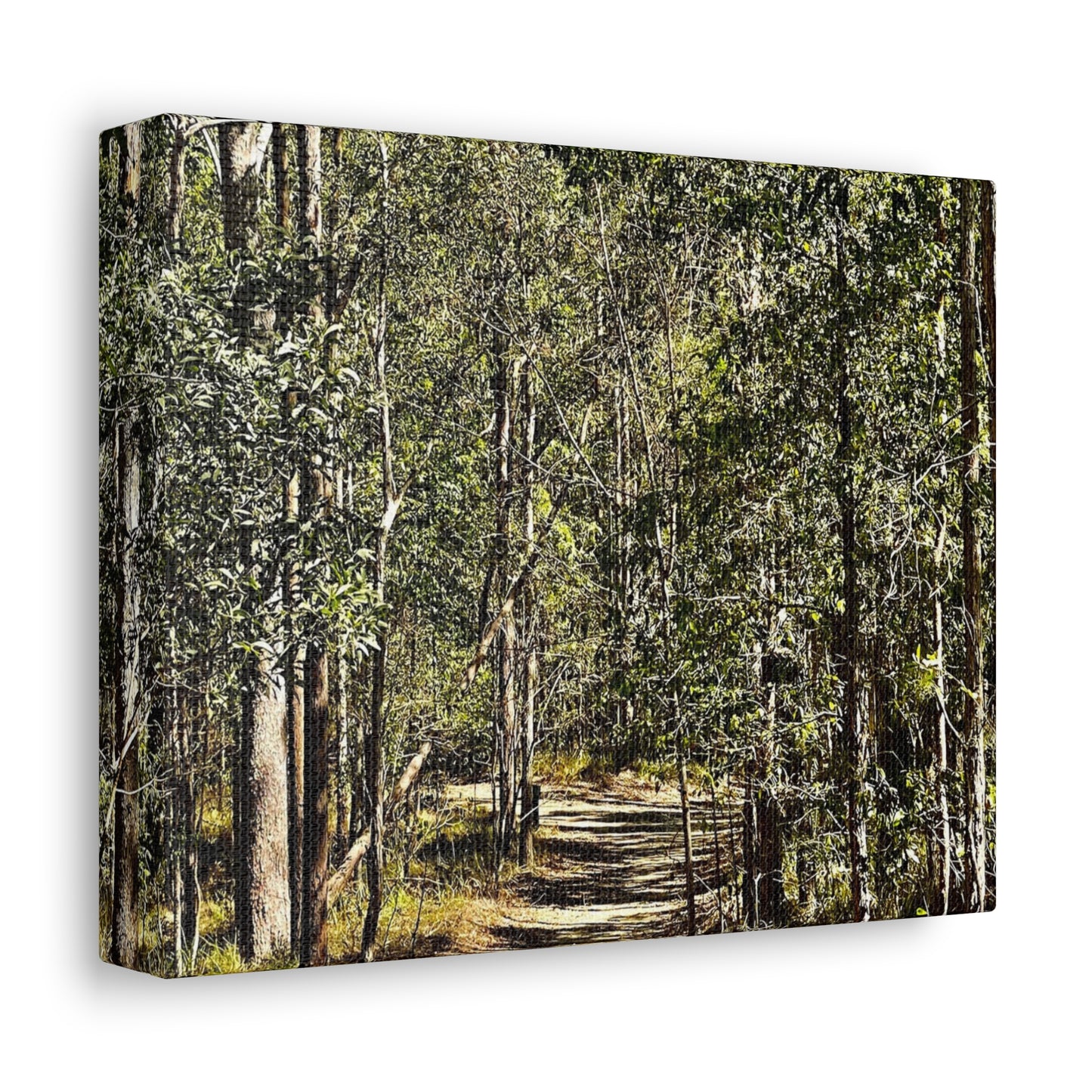 Forest Walk Print on Canvas on Stretched Canvas