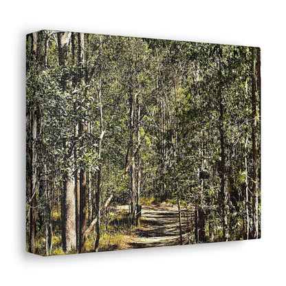 Forest Walk Print on Canvas on Stretched Canvas