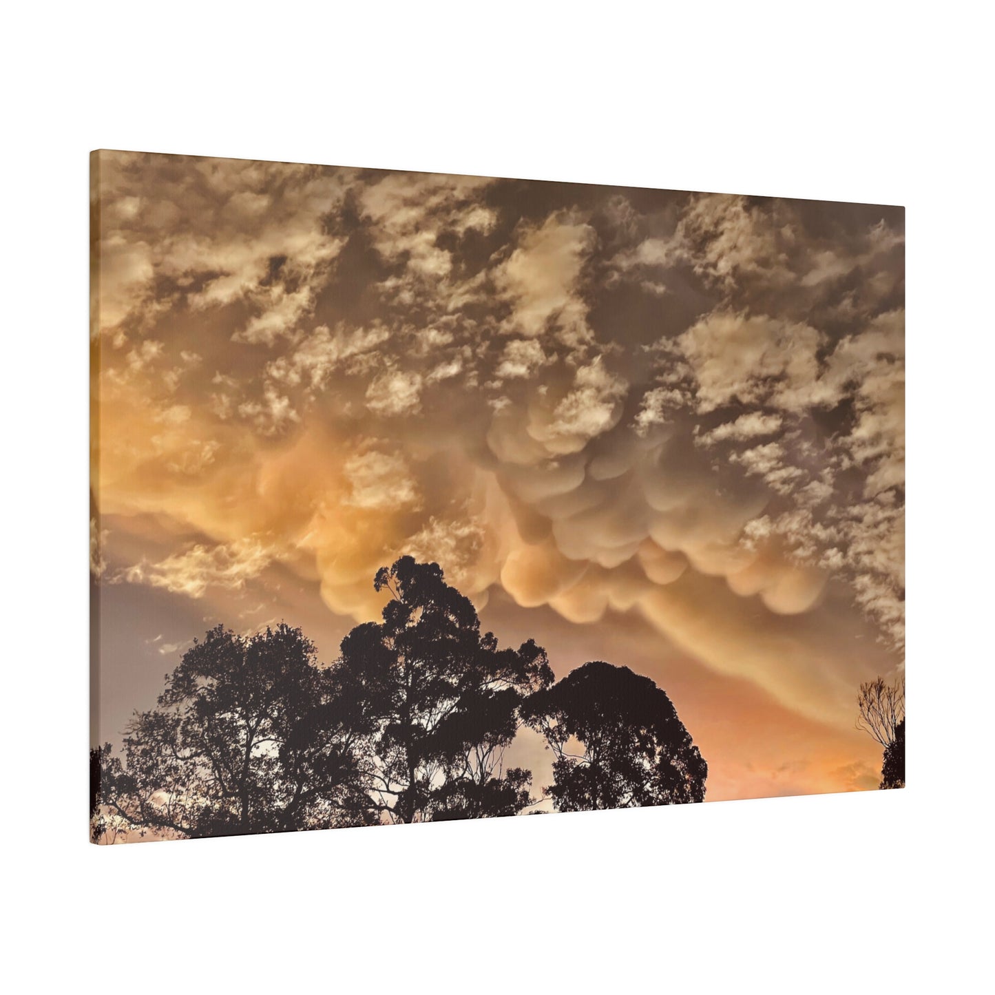 Prints on Canvas Bubble Clouds