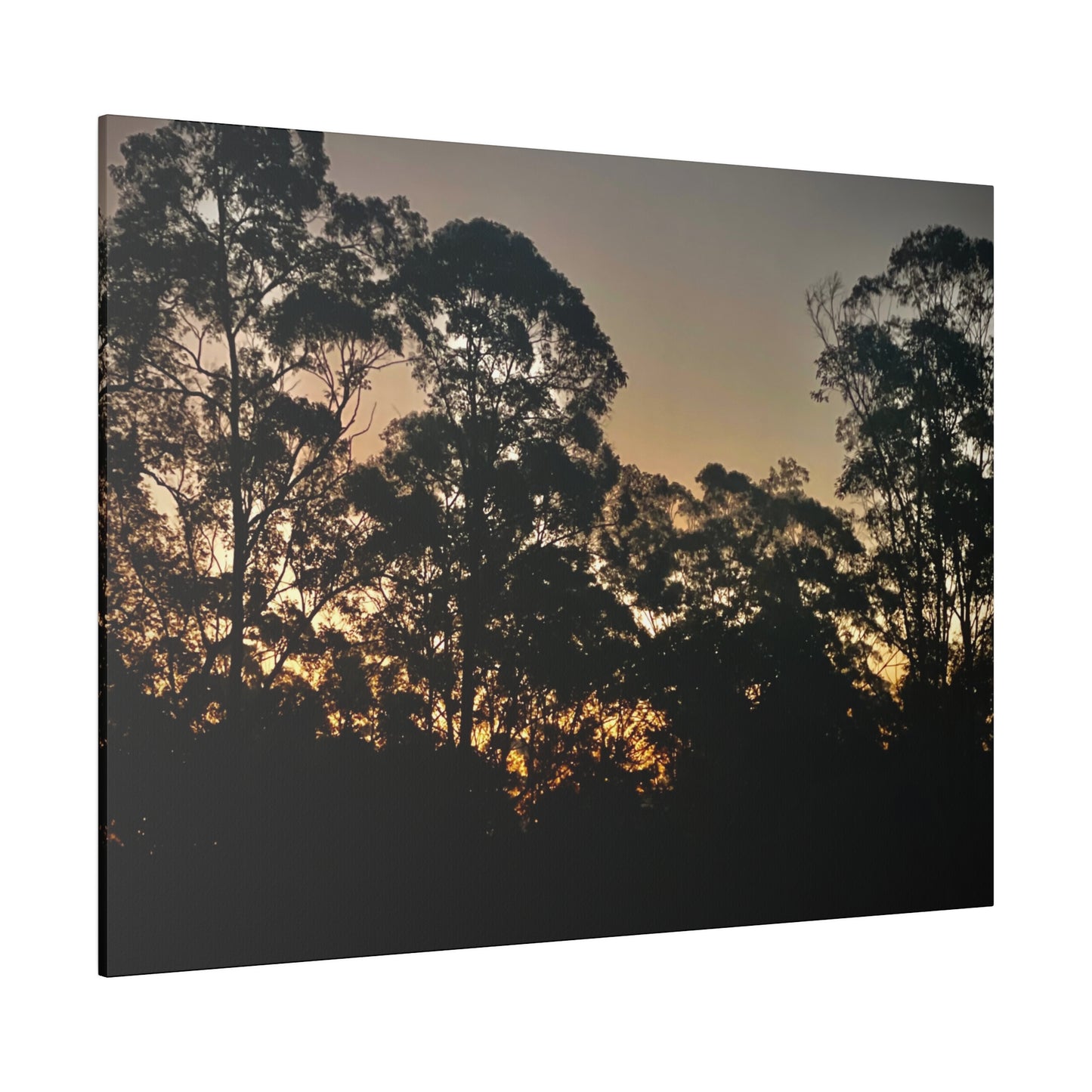 Mist Dusk Prints on Canvas, Stretched, 0.75"