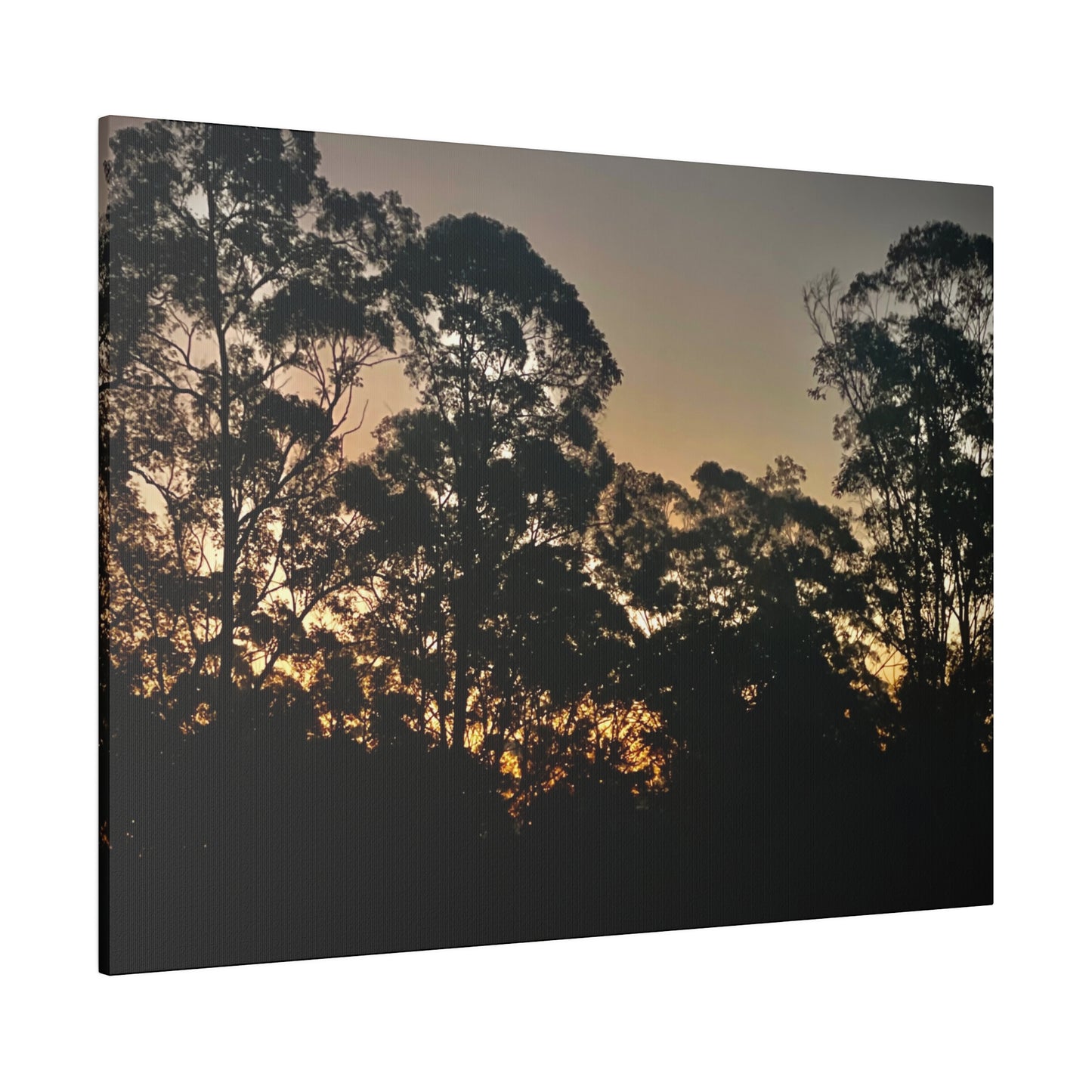 Mist Dusk Prints on Canvas, Stretched, 0.75"