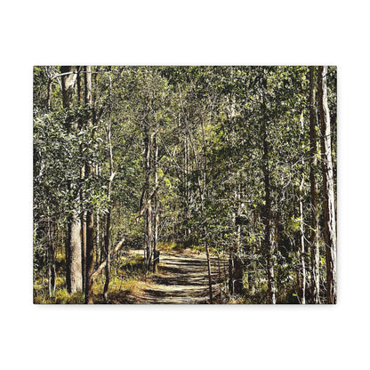 Forest Walk Print on Canvas on Stretched Canvas
