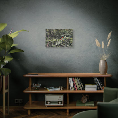 Forest Birds Mountains Prints on Canvas