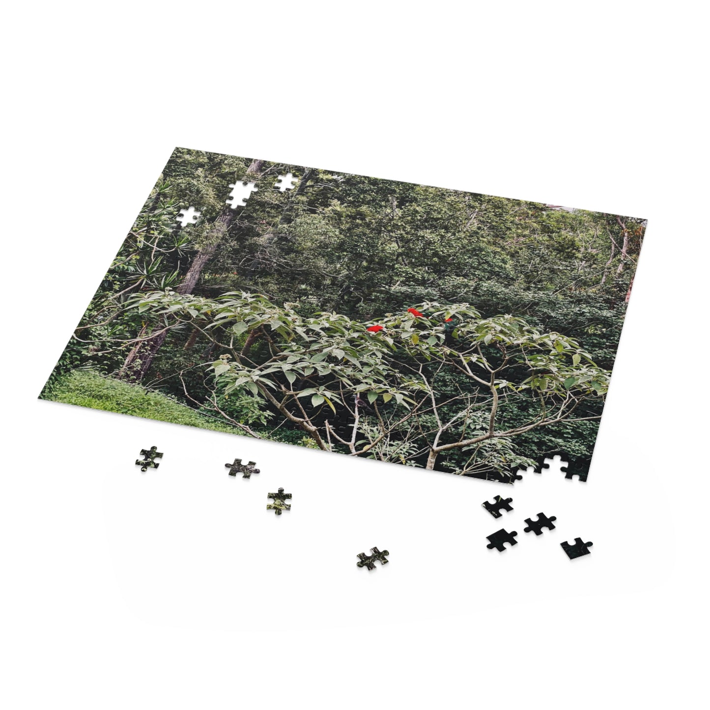 Forest Birds MarPuzzle (120, 252, 500-Piece)