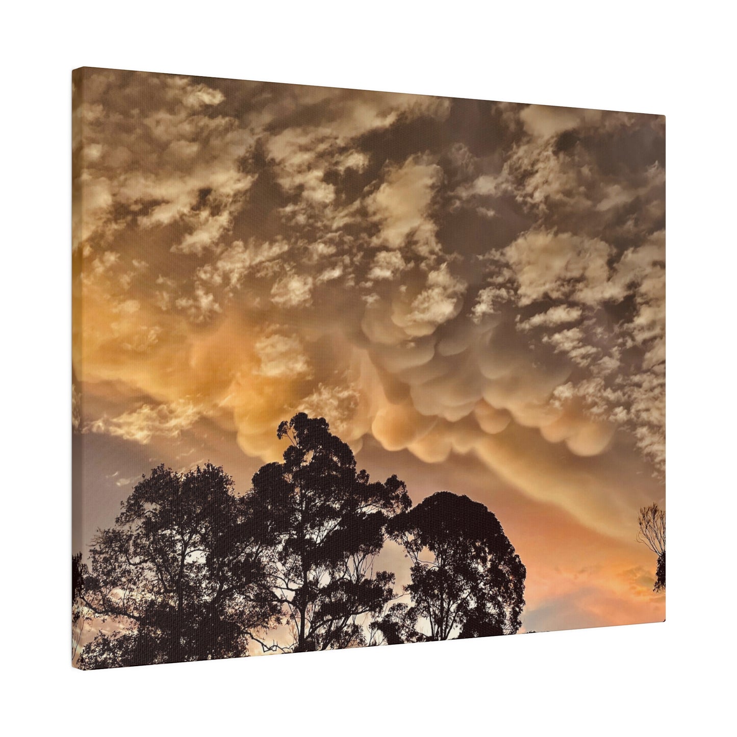 Prints on Canvas Bubble Clouds