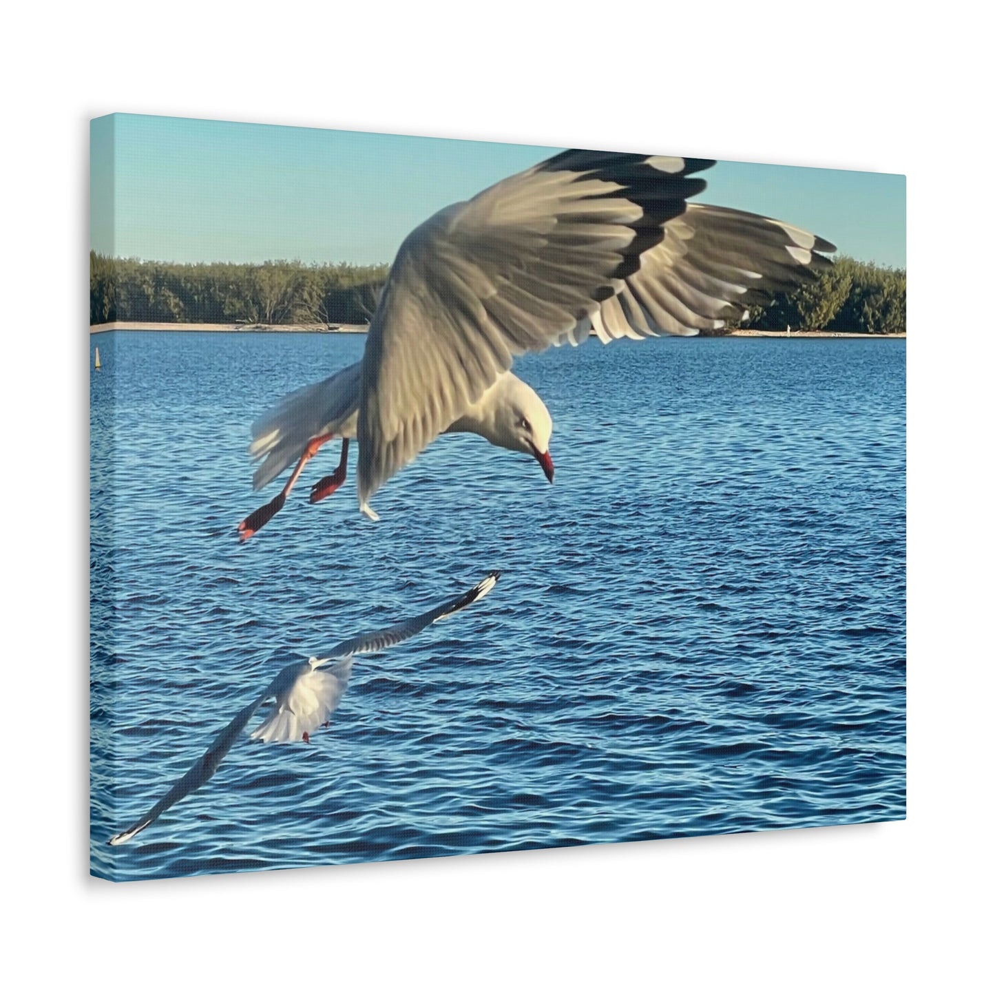 In Flight Print on Canvas on Stretched Canvas