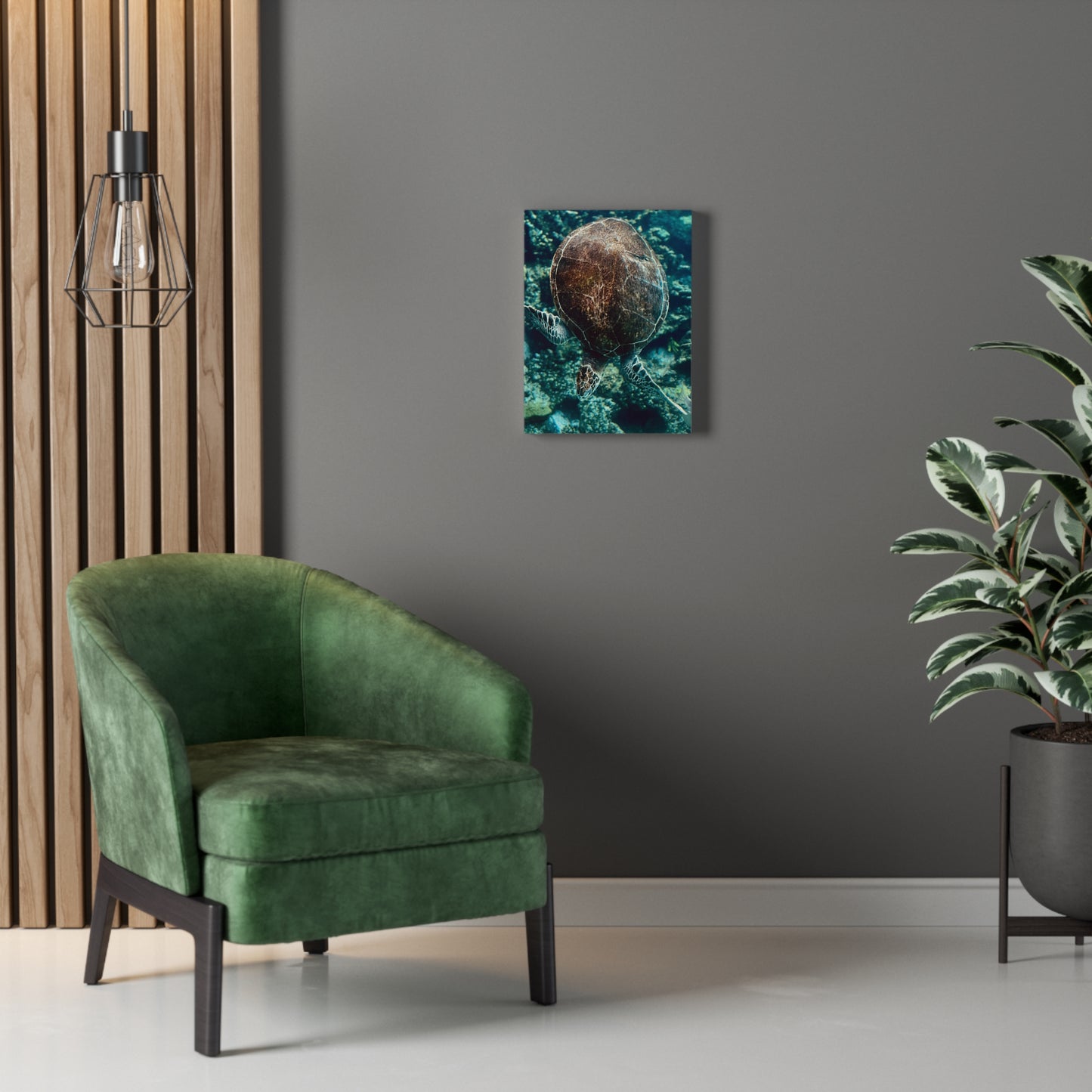 Turtle Print on Canvas on Stretched Canvas