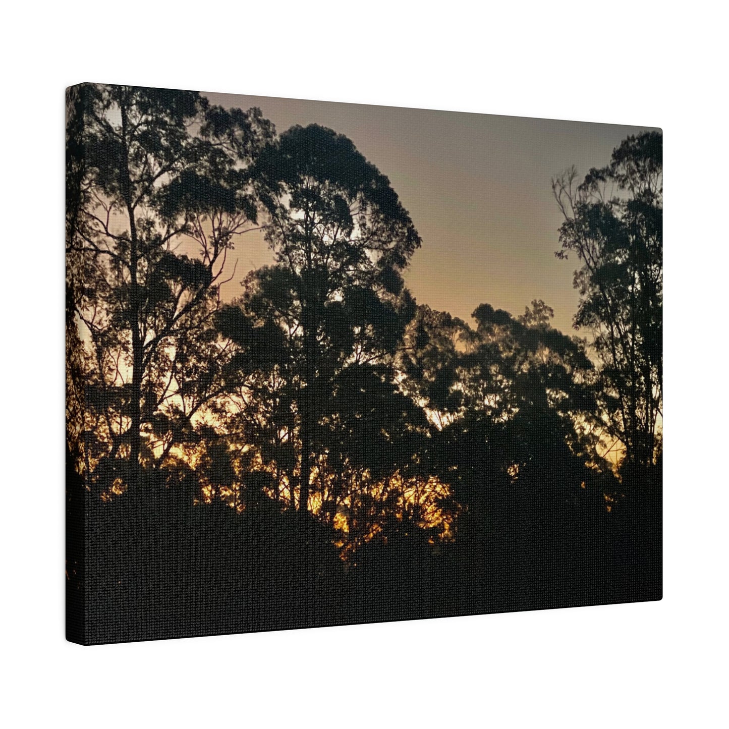 Mist Dusk Prints on Canvas, Stretched, 0.75"