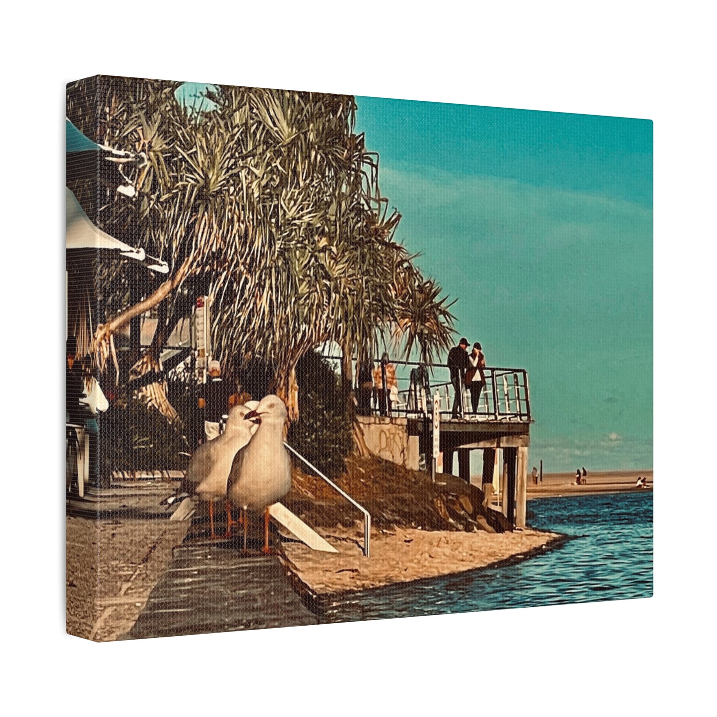 Serious Seagull Print on Canvas on Stretched Canvas