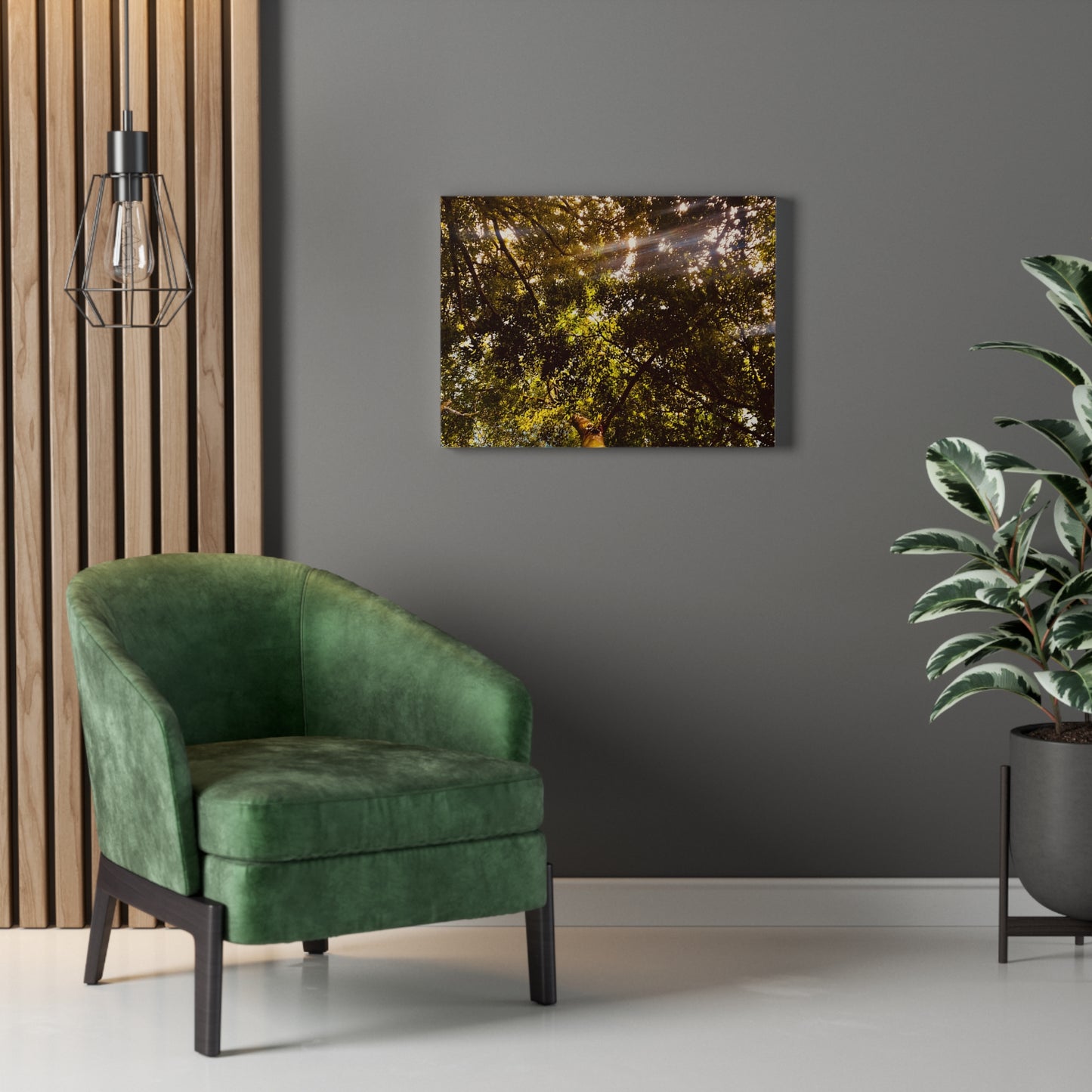 Sunlight Canopy Print on Canvas on Stretched Canvas