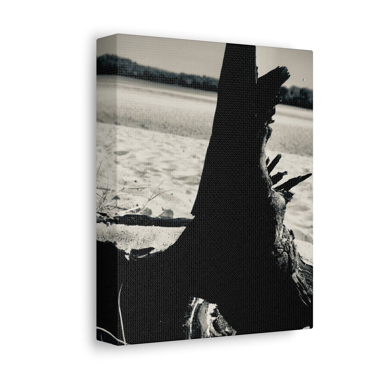 Beach Log Print on Canvas on Stretched Canvas
