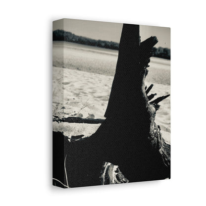 Beach Log Print on Canvas on Stretched Canvas