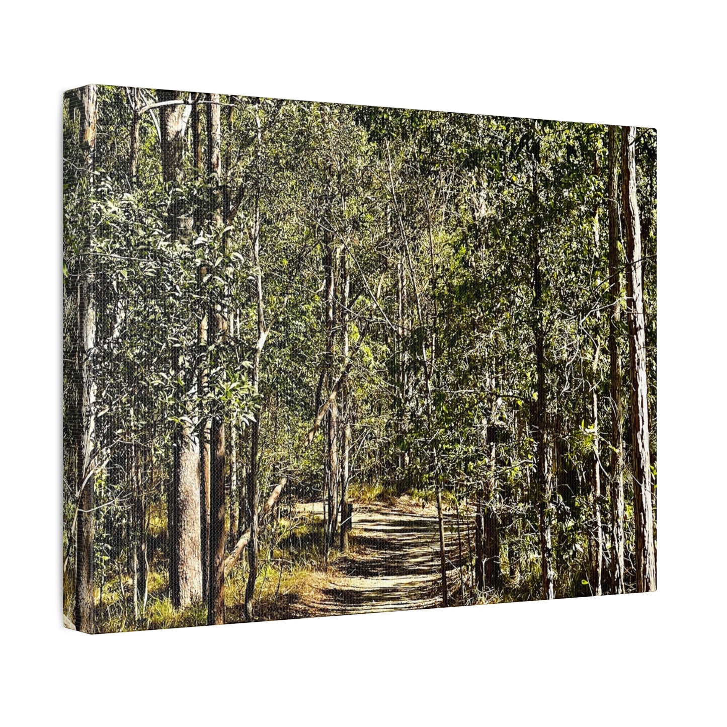 Forest Walk Print on Canvas on Stretched Canvas