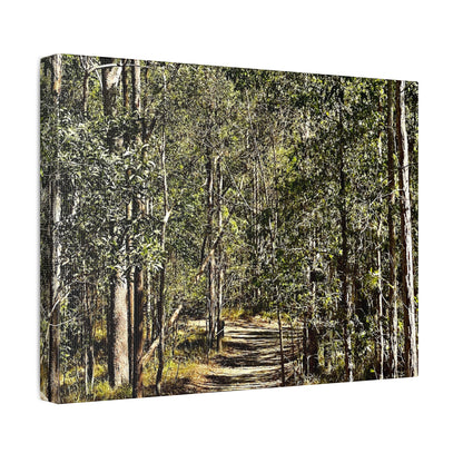 Forest Walk Print on Canvas on Stretched Canvas