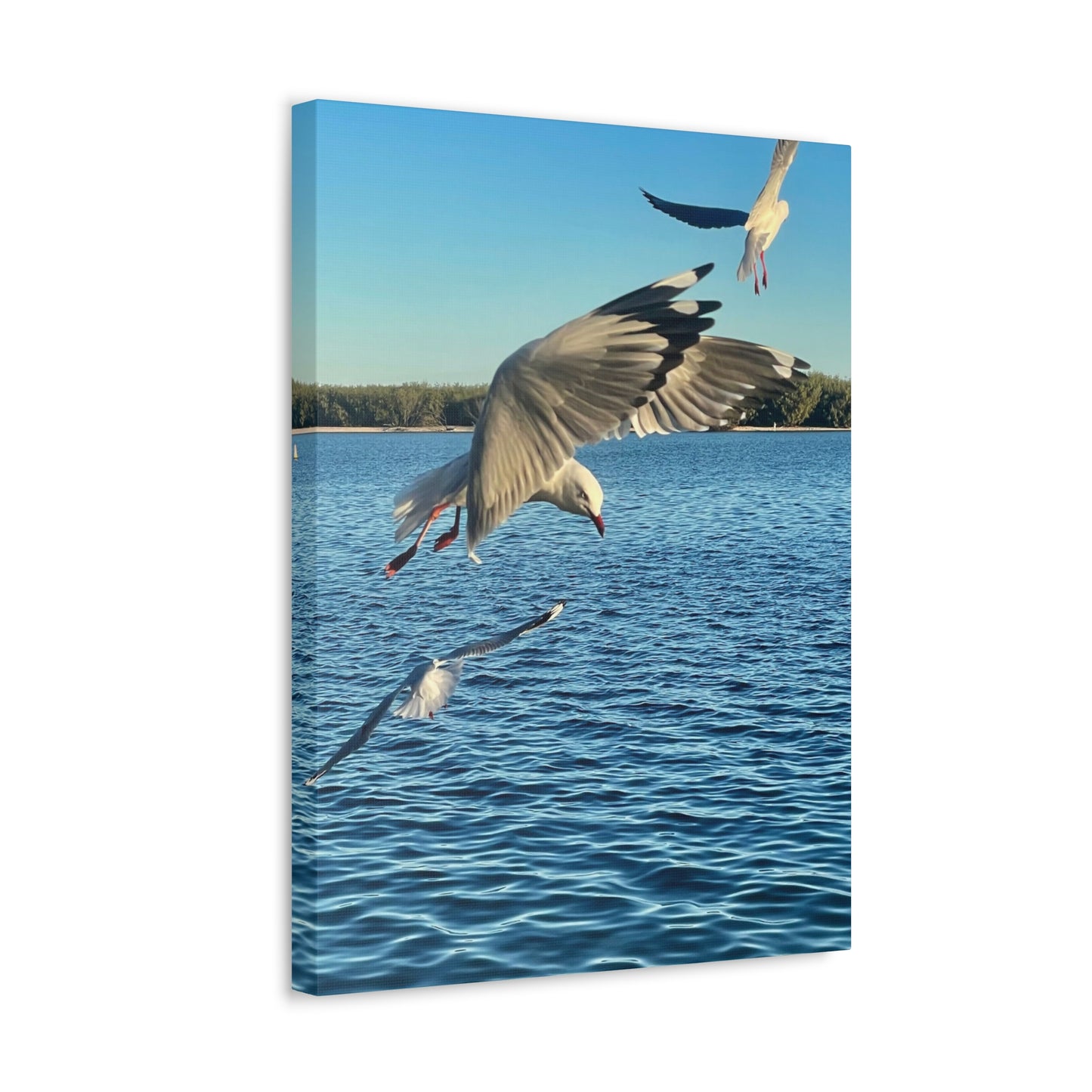 In Flight Print on Canvas on Stretched Canvas