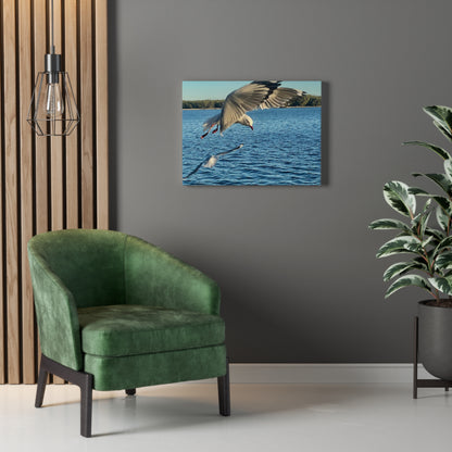In Flight Print on Canvas on Stretched Canvas