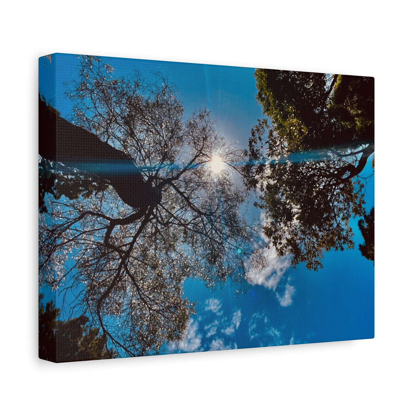 Sky Canopy Prints on Canvas