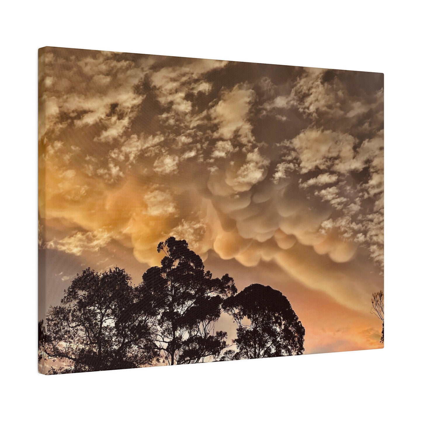Prints on Canvas Bubble Clouds