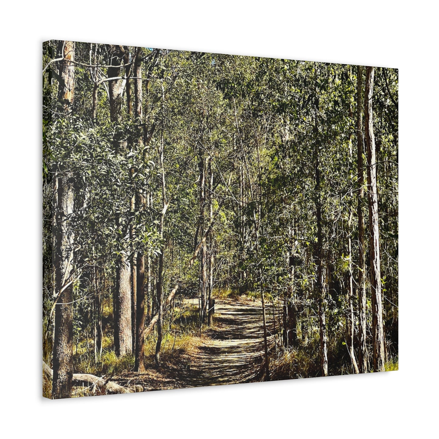 Forest Walk Print on Canvas on Stretched Canvas