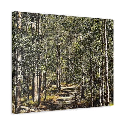 Forest Walk Print on Canvas on Stretched Canvas