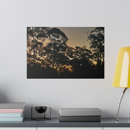 Mist Dusk Prints on Canvas, Stretched, 0.75"
