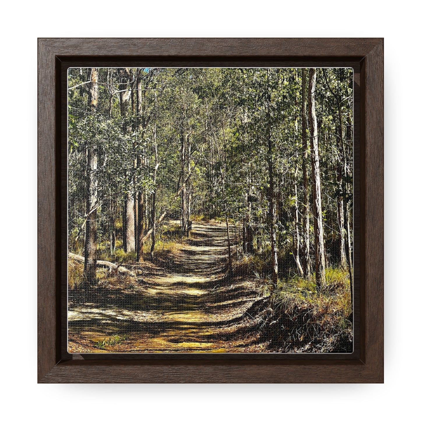 Forest Walk Prints on Canvas, Square Frame