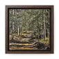 Forest Walk Prints on Canvas, Square Frame