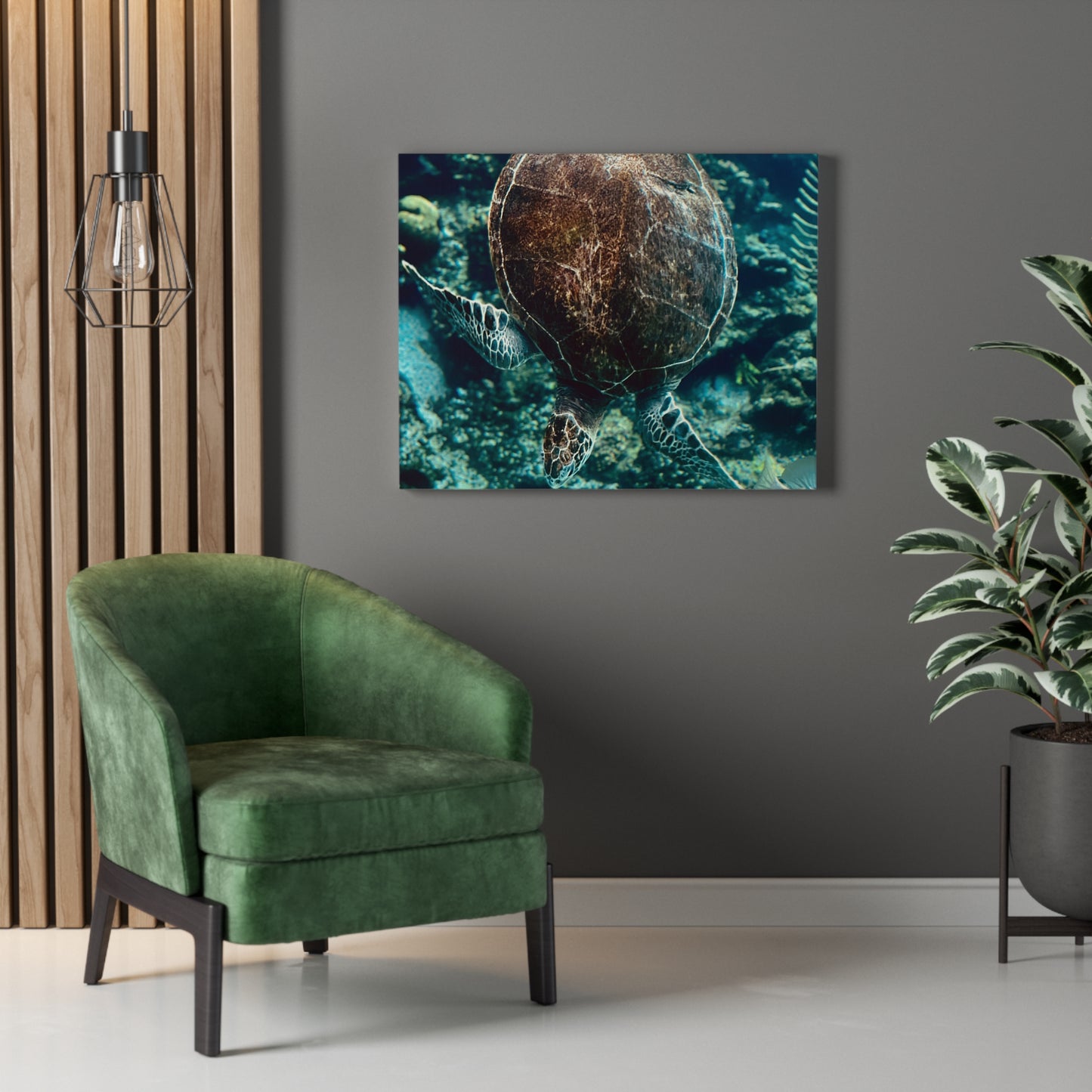 Turtle Print on Canvas on Stretched Canvas