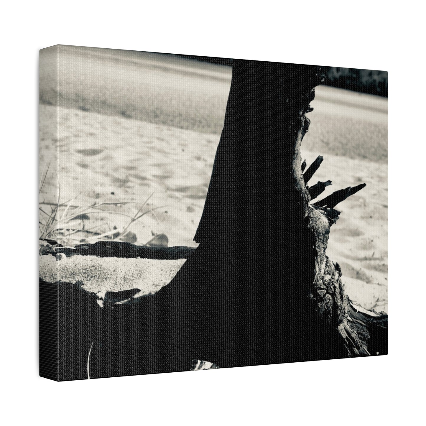 Beach Log Print on Canvas on Stretched Canvas