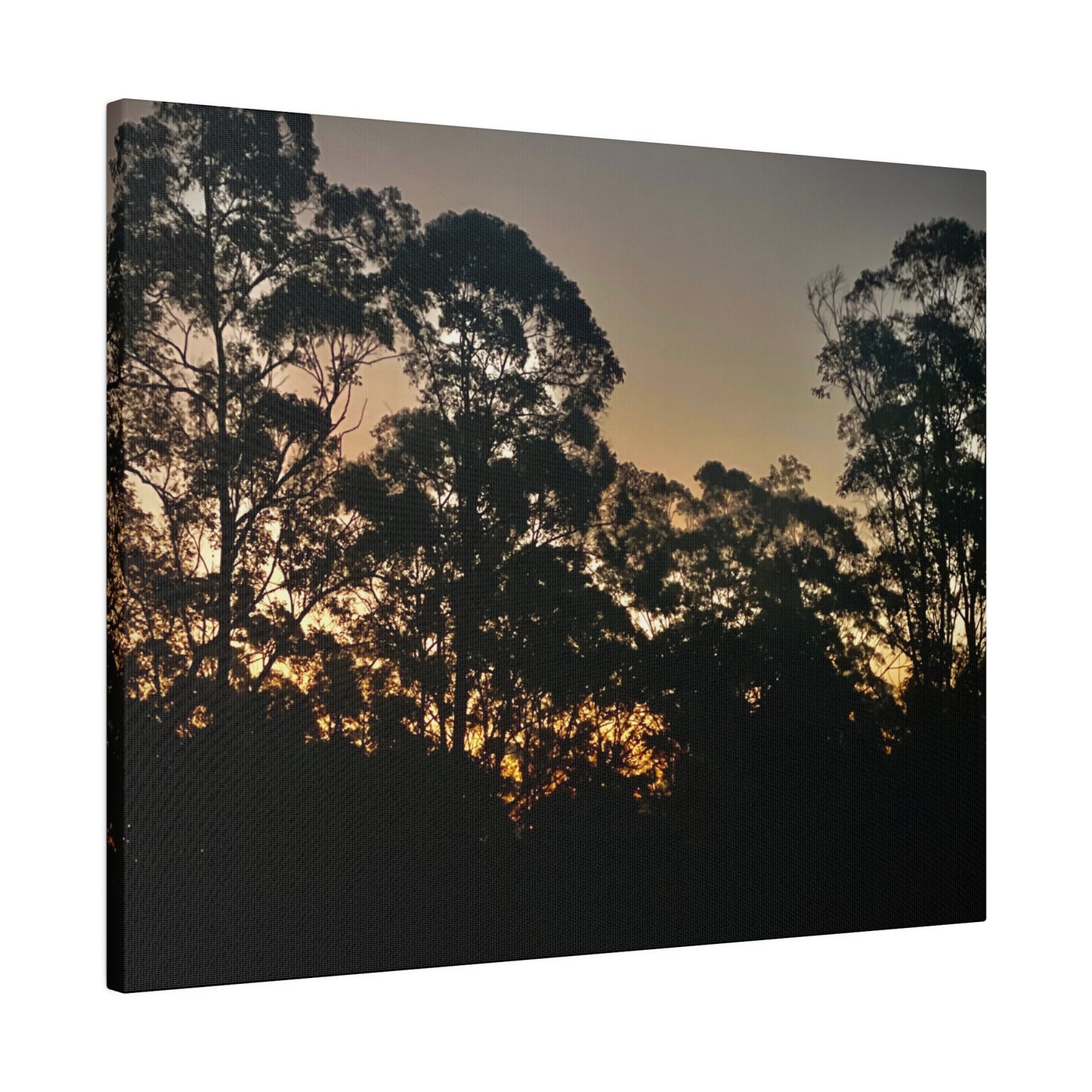 Mist Dusk Prints on Canvas, Stretched, 0.75"
