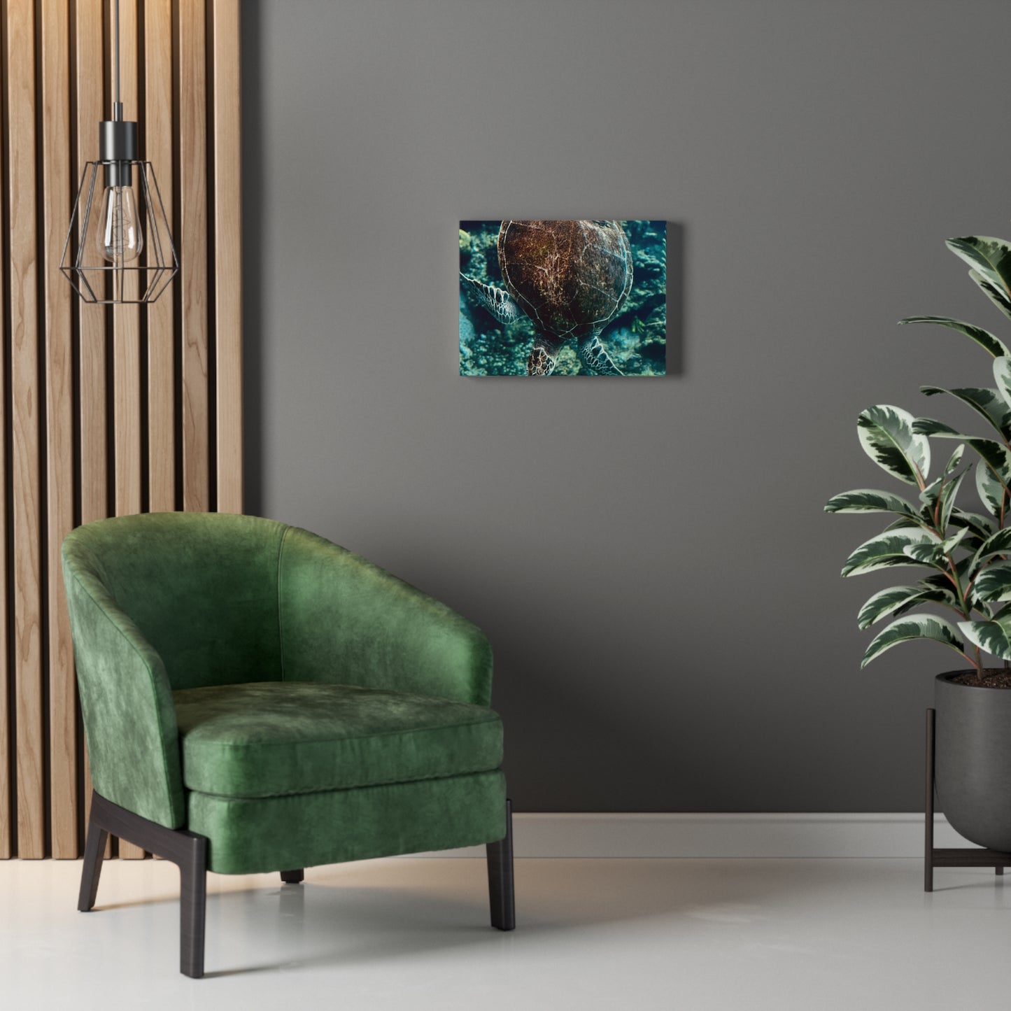 Turtle Print on Canvas on Stretched Canvas