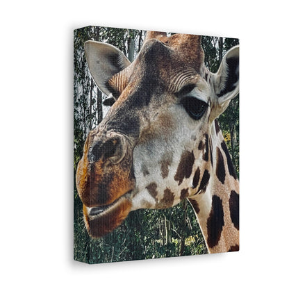 Giraffe Print on Canvas on Stretched Canvas