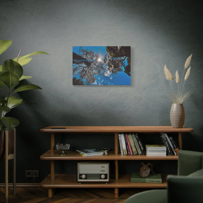 Sky Canopy Prints on Canvas