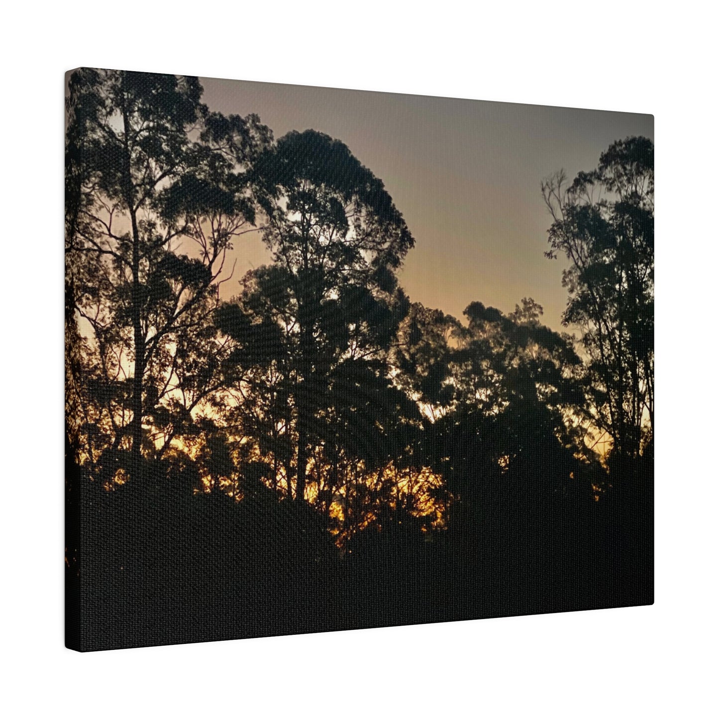 Mist Dusk Prints on Canvas, Stretched, 0.75"
