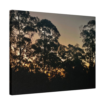 Mist Dusk Prints on Canvas, Stretched, 0.75"
