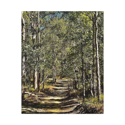 Forest Walk Print on Canvas on Stretched Canvas