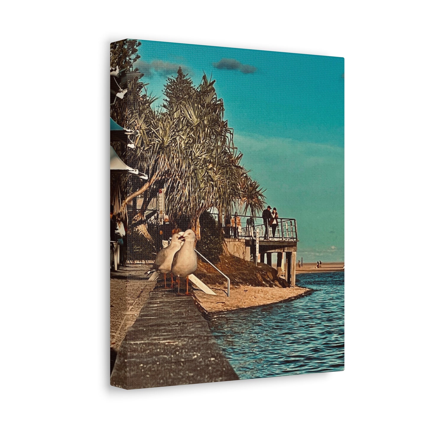 Serious Seagull Print on Canvas on Stretched Canvas