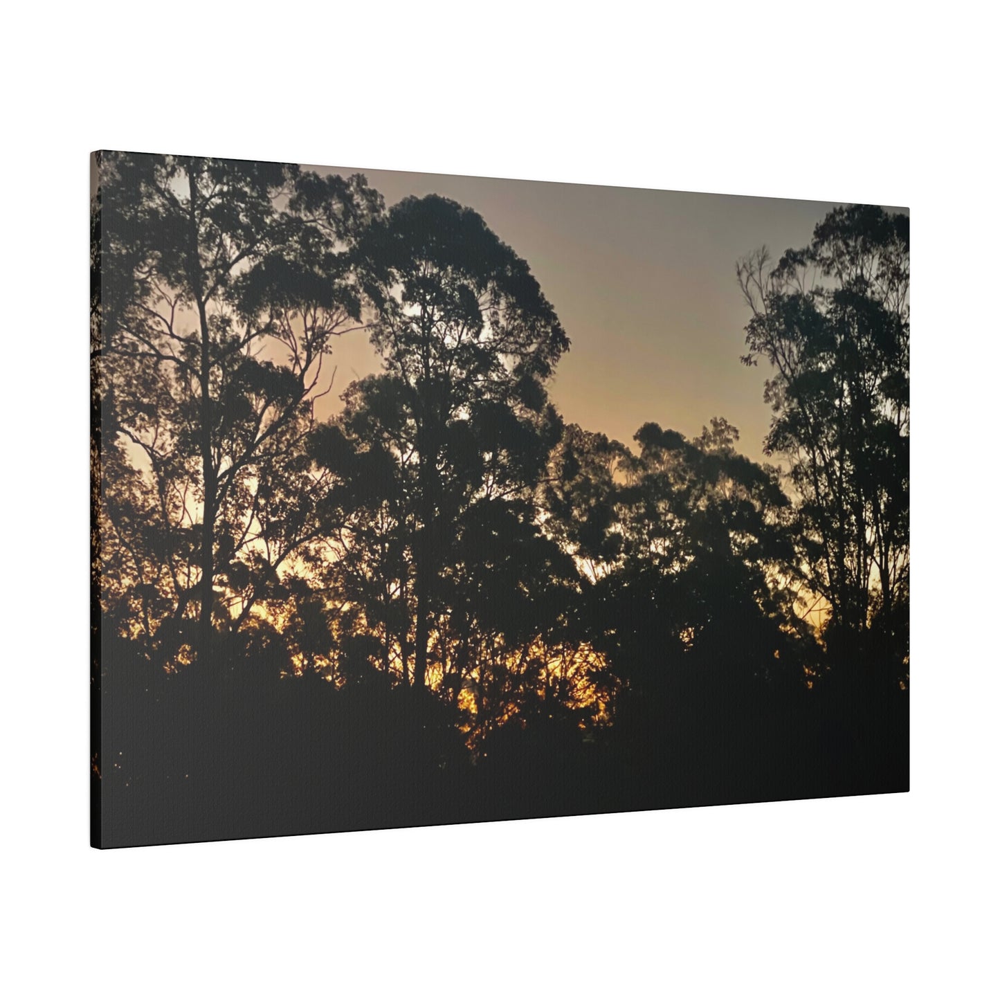 Mist Dusk Prints on Canvas, Stretched, 0.75"