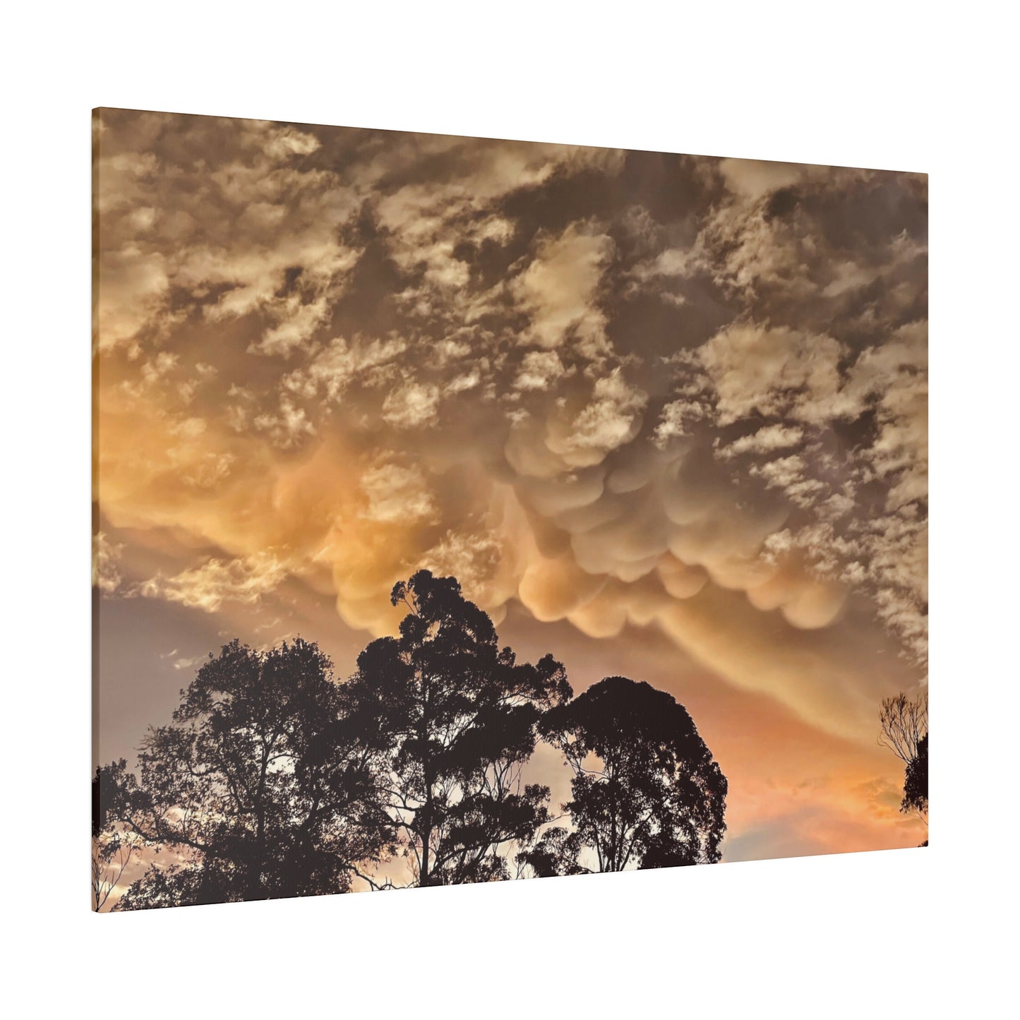 Prints on Canvas Bubble Clouds