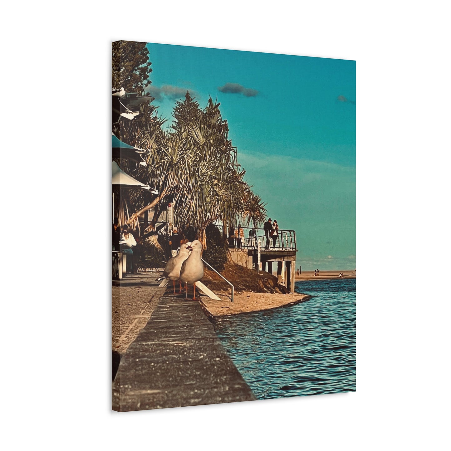 Serious Seagull Print on Canvas on Stretched Canvas