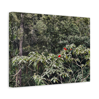 Forest Birds Mountains Prints on Canvas
