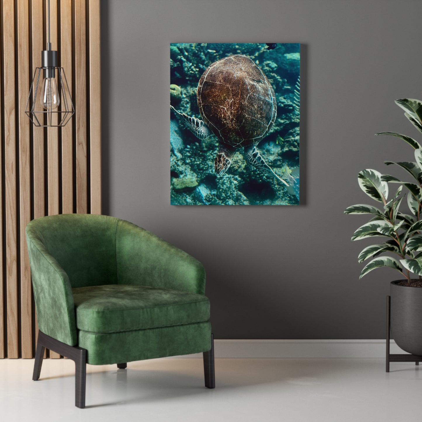 Turtle Print on Canvas on Stretched Canvas