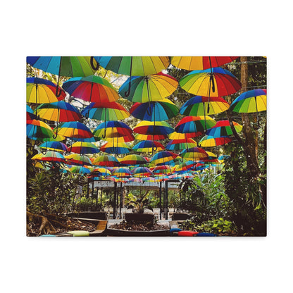 Umbrella Canopy Print on Canvas on Stretched Canvas