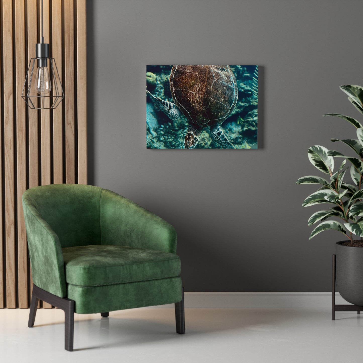 Turtle Print on Canvas on Stretched Canvas