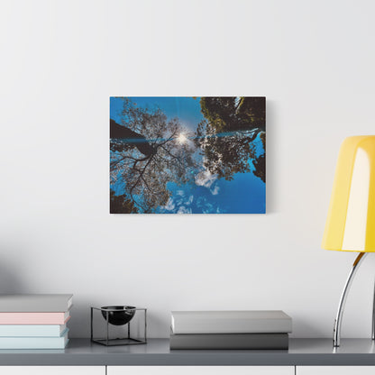 Sky Canopy Prints on Canvas