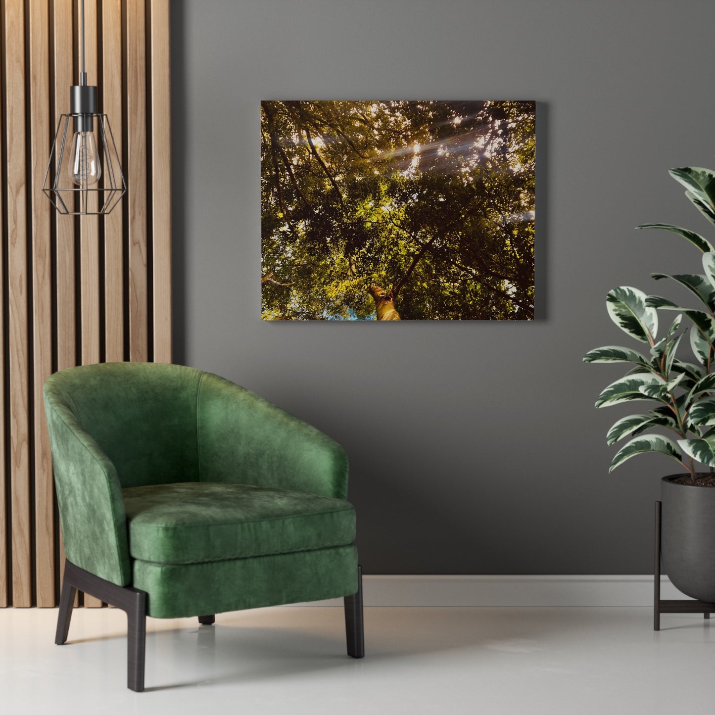 Sunlight Canopy Print on Canvas on Stretched Canvas