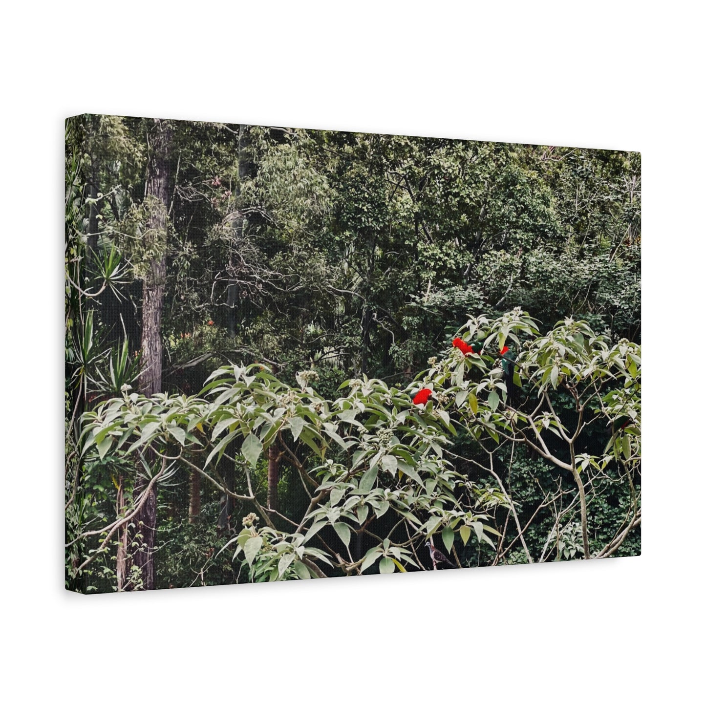 Forest Birds Mountains Prints on Canvas
