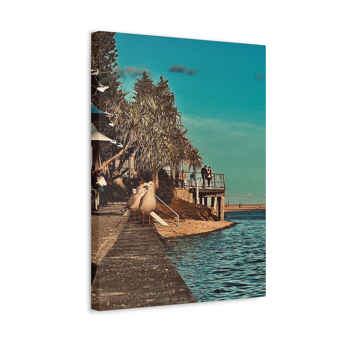 Serious Seagull Print on Canvas on Stretched Canvas