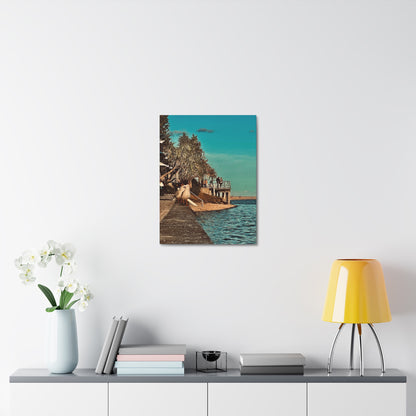 Serious Seagull Print on Canvas on Stretched Canvas