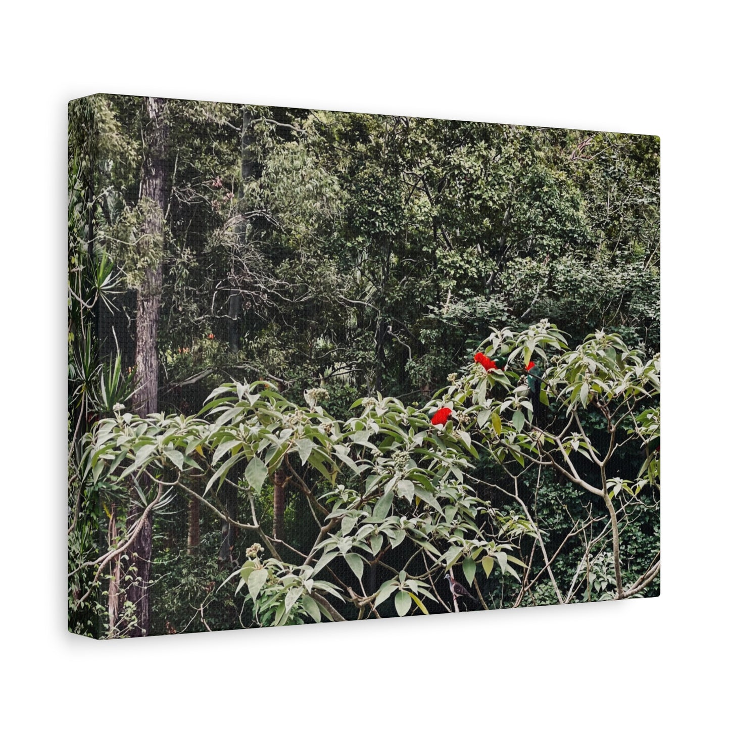 Forest Birds Mountains Prints on Canvas